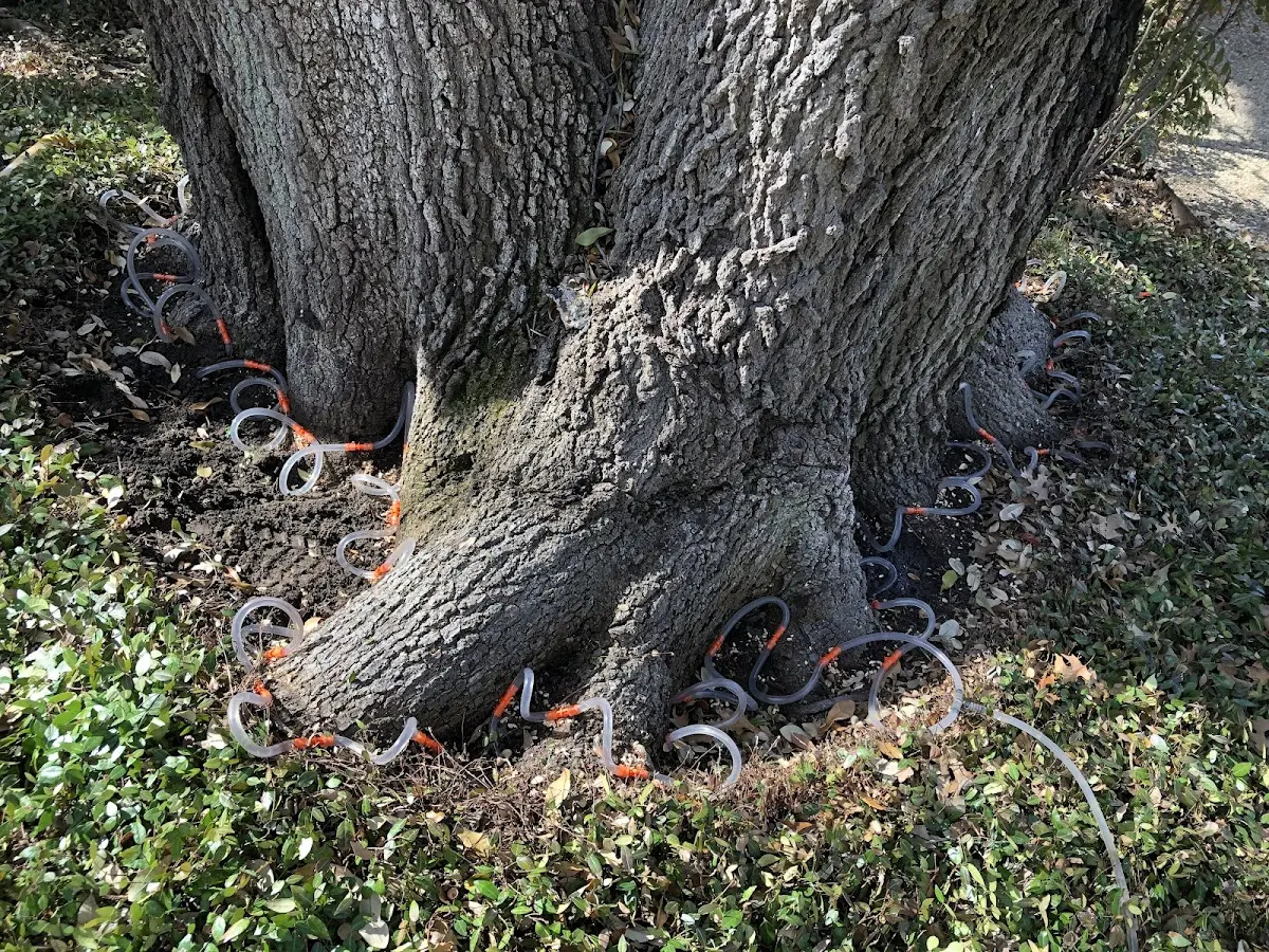 Detailed Shrub and Hedge Trimming job site in Ovid