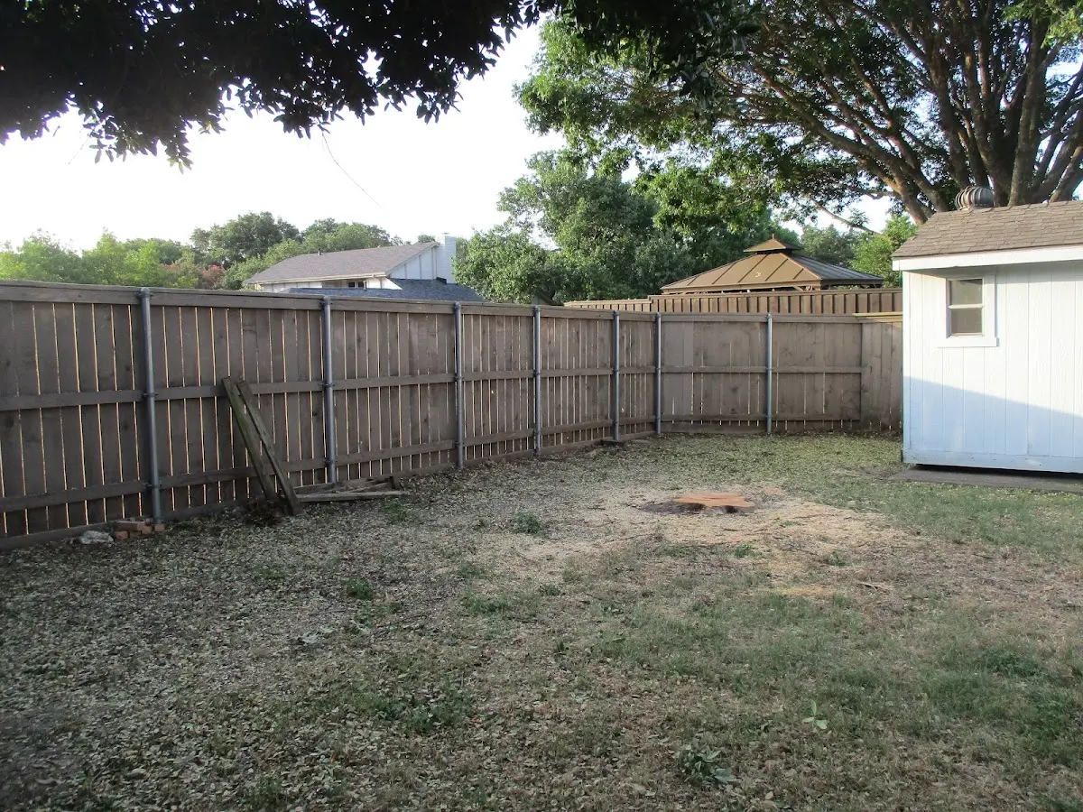 Cleared yard after professional tree removal in Ovid